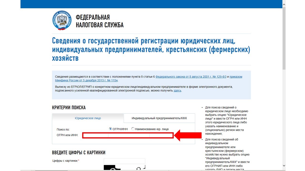 Сайт налоговой службы. Ввод ИНН в поле для ввода ИНН или ОГРН