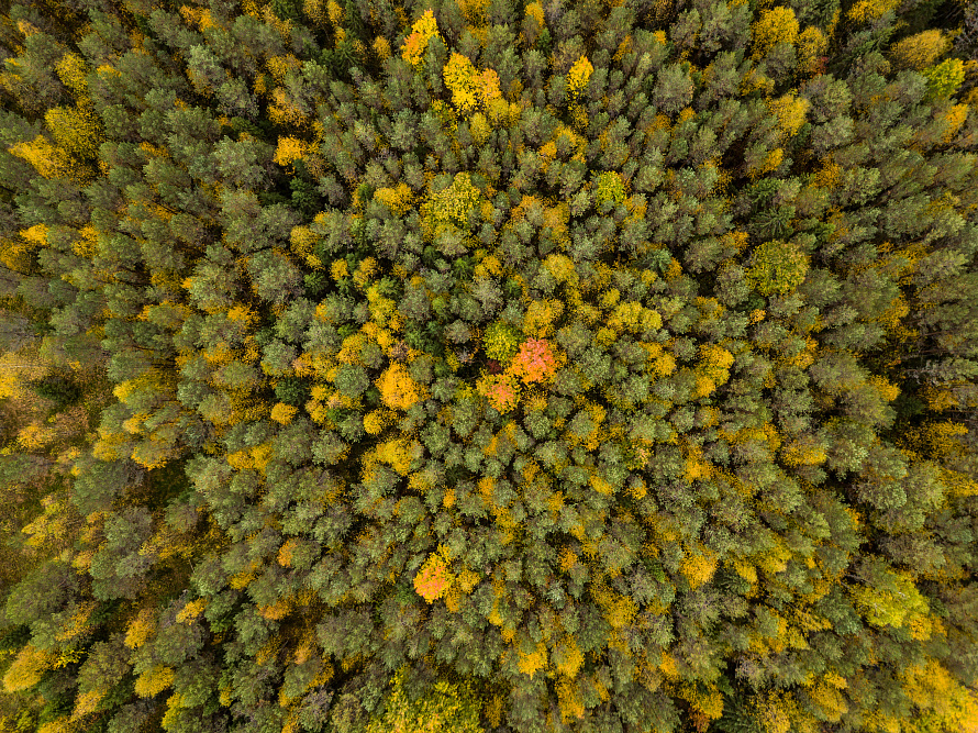 «Уралхим» подвел итоги природоохранной деятельности в 2023 году