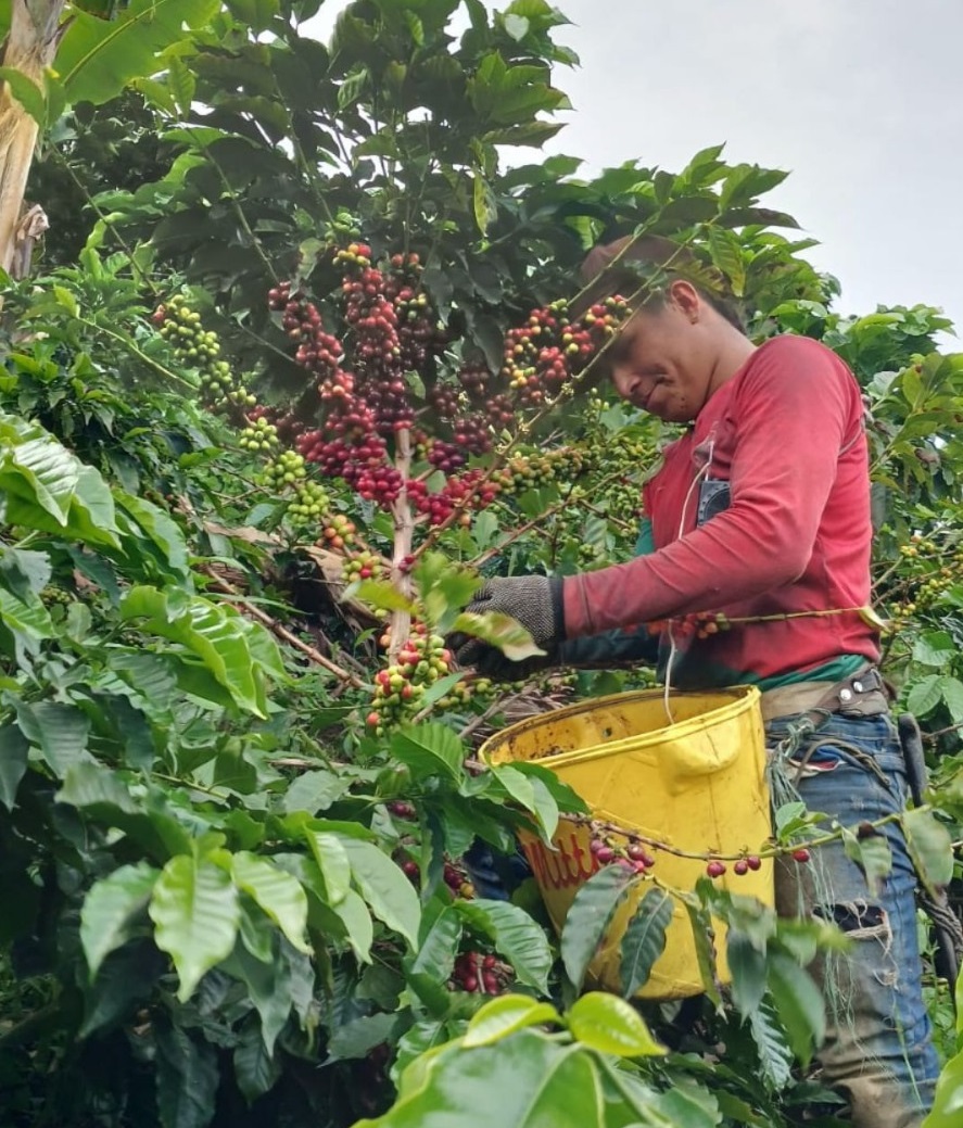 Сельхозпроизводители Колумбии высоко оценили продуктовую новинку Группы «Уралхим»